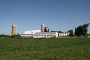 The Maplewood Farm (owned by Don & Pat Wilton) in Eagle, WI, 2009.