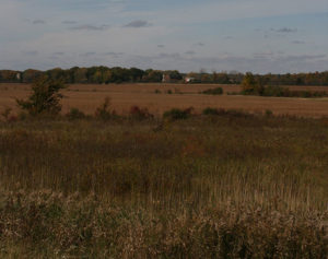 Marten Family Farm (view from the Steinhoff farm site)- 2009. Eagle, Wisconsin.