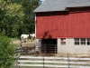 Cattle barn entrance on Mueller farm- 2010