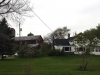 Nelson farm- house and barns in 2009