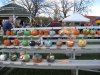 IMG_1625