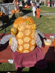 IMG_3270