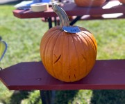 IMG_3282