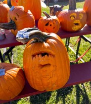 IMG_3286