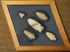 Arrowheads found by Anton Steinhoff