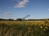 Former site of Steinhoff farm