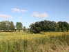 Restored Prairie on the Steinhoff farm site-2009