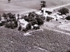 Steinhoff farm on Hwy 59- circa 1950's
