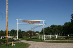 Jolliffe farm in 2009