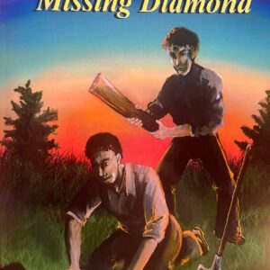 Mystery of the Missing Diamond